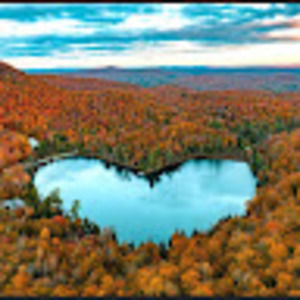 Meet your Posher, Laurel